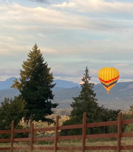 IMG_4657-750x854-balloon